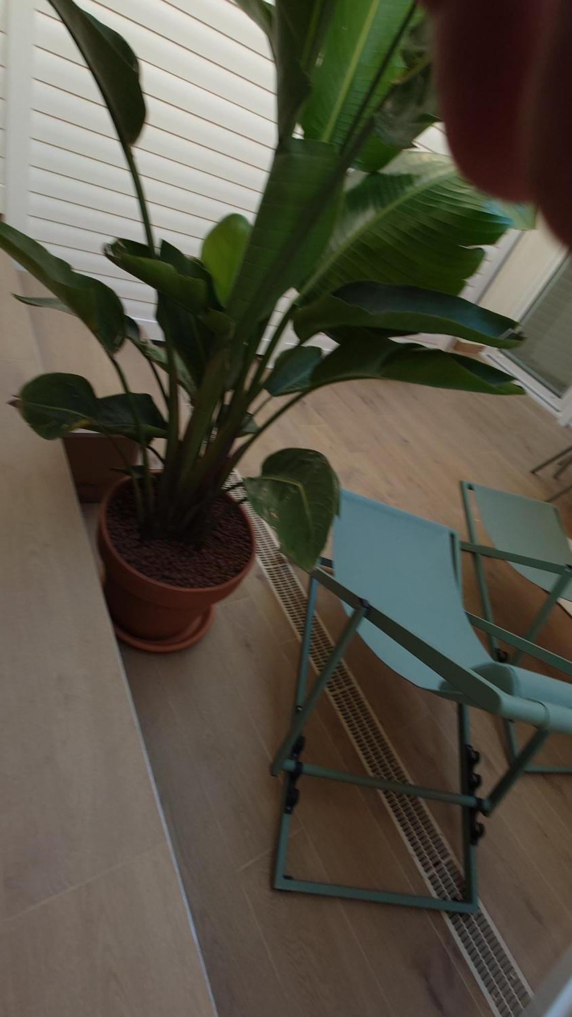 Aparthotel Club Nizza